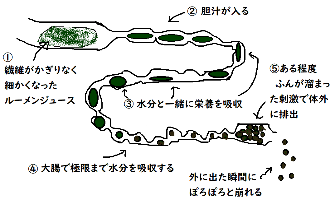 野糞下痢便所 ヤギさんの下痢①: 『 となみ野やぎ舎 』